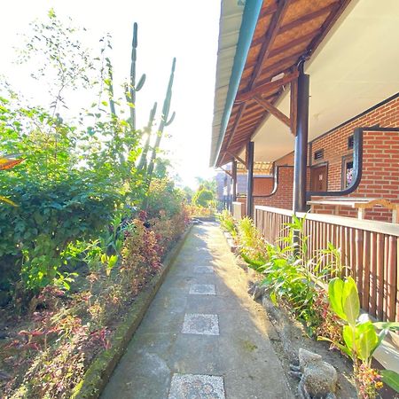 Green Orry Inn 테테바투 외부 사진